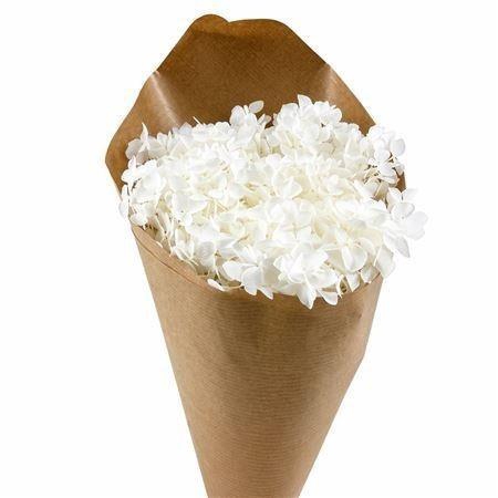 <h4>DROOGBL BEWERKT H%</h4>