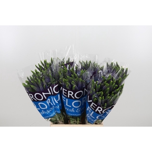 Veron Smart Diana Spray