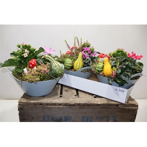 arr8 Arr Pl In Kunststof Kuip