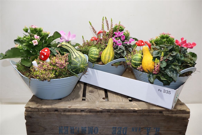 <h4>arr8 Arr Pl In Kunststof Kuip</h4>