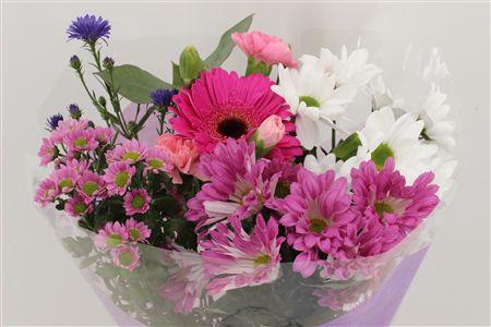 <h4>Boeket 5-7 Tak Lila</h4>