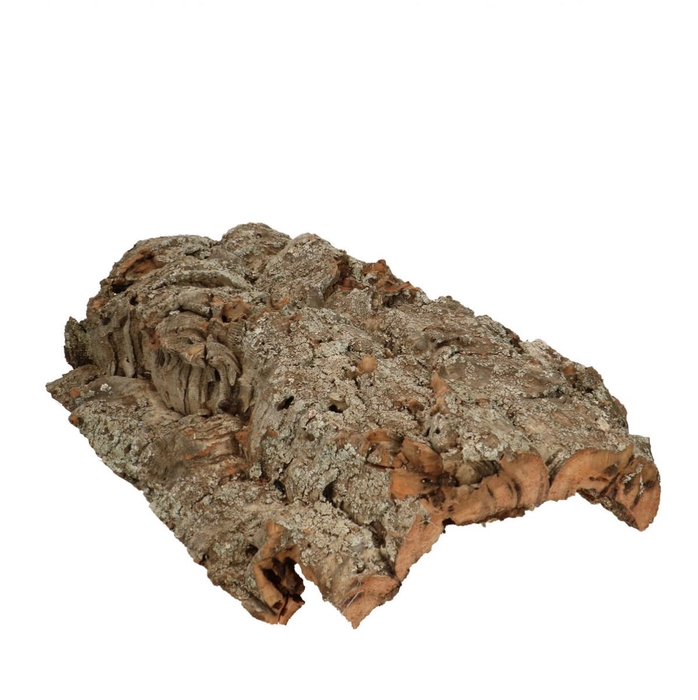 <h4>Dried articles Cork 26*36cm</h4>
