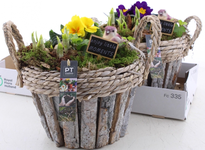 <h4>ARR PL IN SCHAAL</h4>