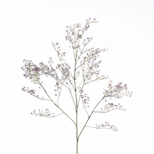 AF Limonium L82cm Purple