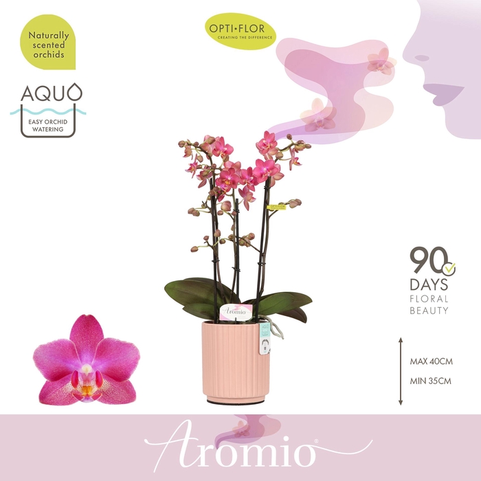 <h4>Aromio Floral 3 spike in Salmon Molise Aquo</h4>