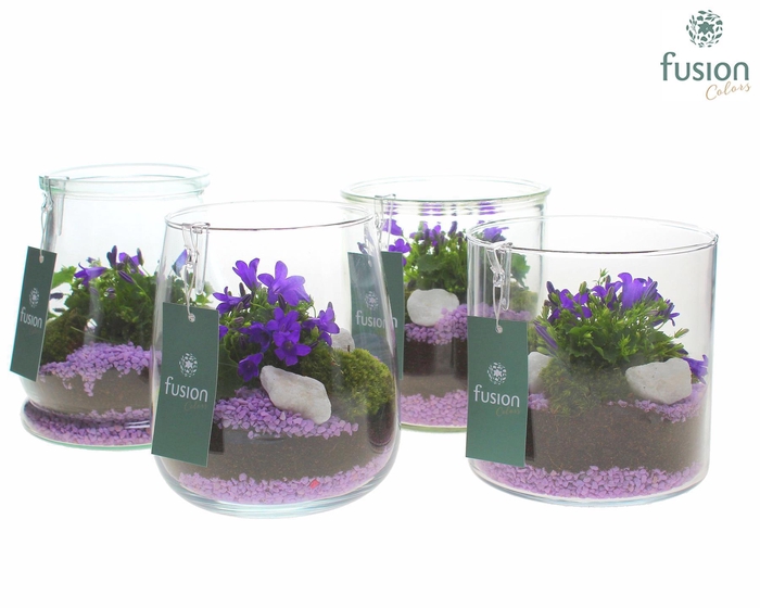 <h4>Glas mix Druppel, Julia, Dirk en Lucille met Campanula 24uur levertijd</h4>