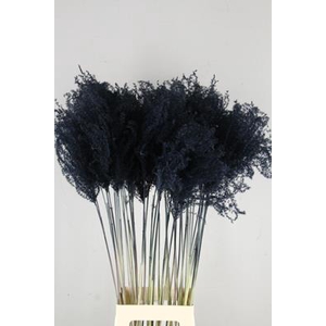 Df Miscanthus 90cm Black