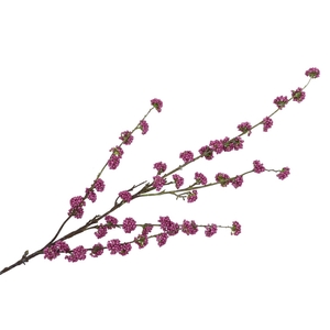 Silk Berry Callicarpa Purple 130cm