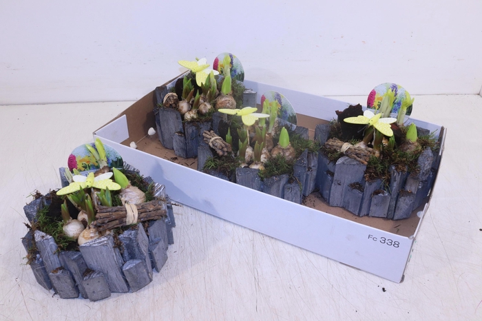 <h4>ARR BOL KNOLGEWAS</h4>