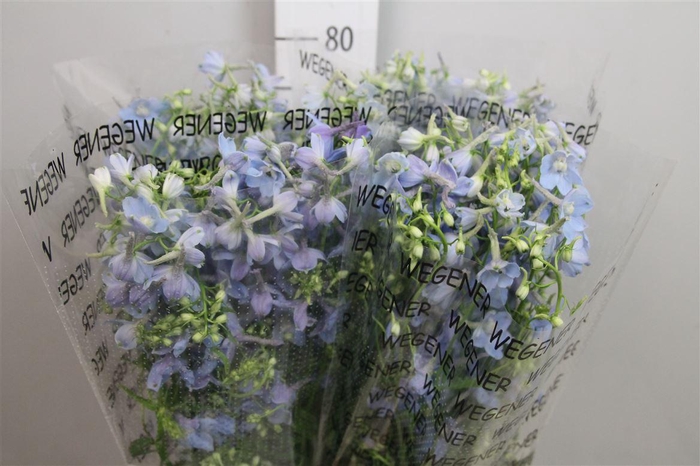 <h4>Delph En Ballkleid</h4>