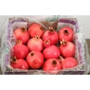 Sier Granaatappel Red X12 P Box
