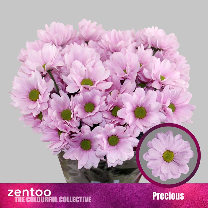 <h4>CHR T PRECIOUS</h4>