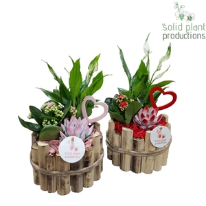 HVSE001 Milano Small Red/Pink