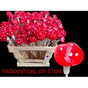 HUIS EN TUINDECO H%