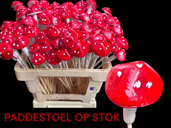 <h4>HUIS EN TUINDECO H%</h4>