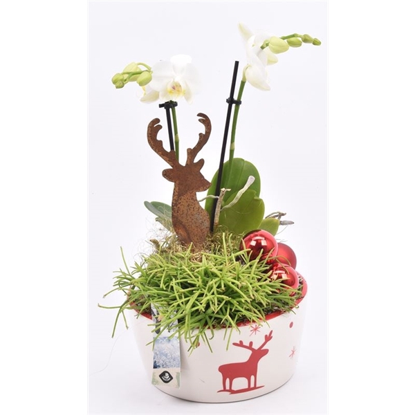 <h4>Keramiek schaal rendier decor 15cm</h4>