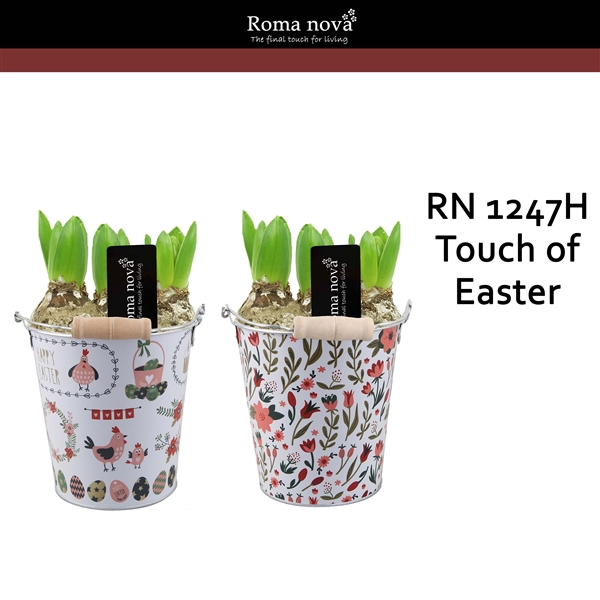 <h4>1247H - Touch of Easter (Hyacint)</h4>
