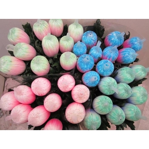 Chr G Antonov Mix 2 Kleurig