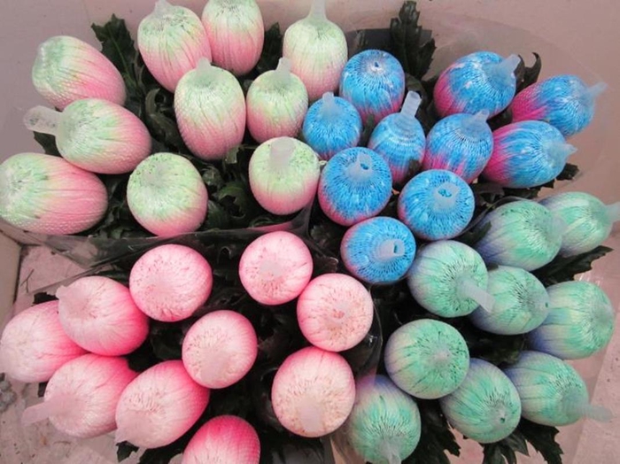 <h4>Chr G Antonov Mix 2 Kleurig</h4>