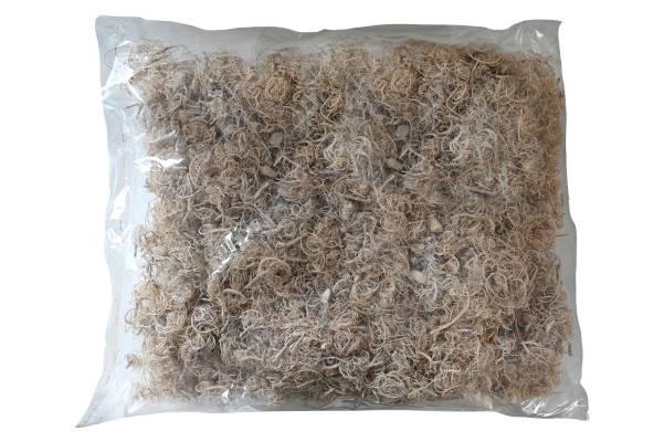Moss Curly 500g