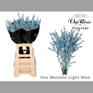 ILEX METALLIC LIGHT BLUE 80 cm