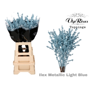 ILEX METALLIC LIGHT BLUE 60 cm