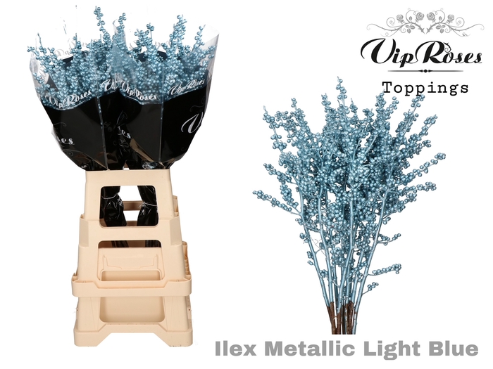 <h4>ILEX METALLIC LIGHT BLUE 80 cm</h4>