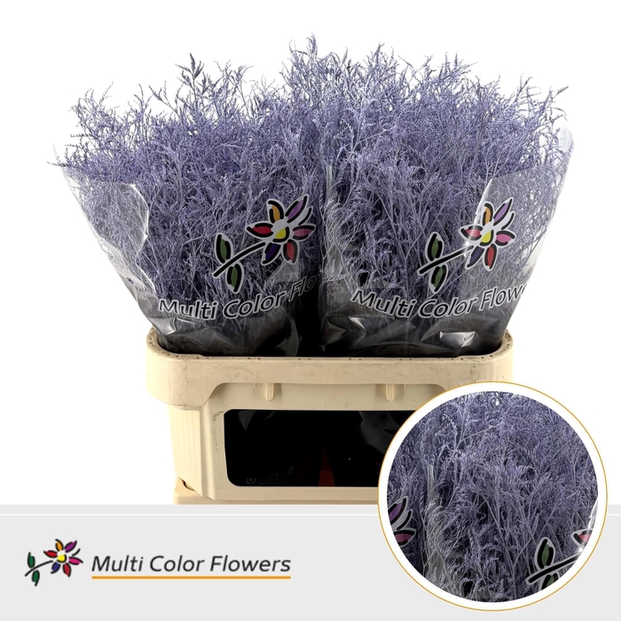 <h4>LIM OV KLB H%</h4>