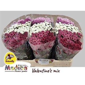 Chr S Mad Tyo Gem Ft