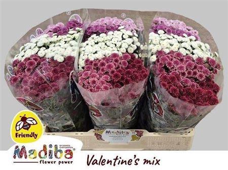 <h4>Chr S Mad Tyo Gem Ft</h4>