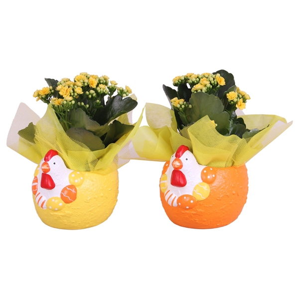 <h4>Easter Arr. Indoor Ceramic Colorful Chicken Mix Ø16cm 1PP</h4>