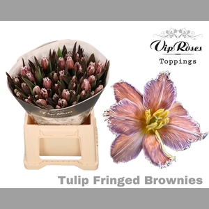 TU FR FRINGED BROWNIES