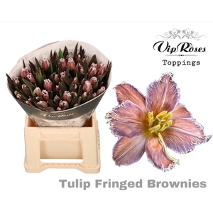 TU FR FRINGED BROWNIES