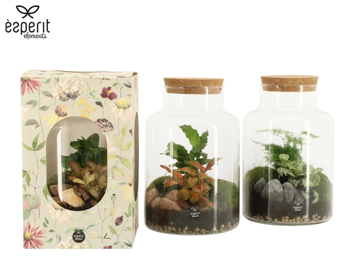 <h4>90922: Terrarium arrangement</h4>
