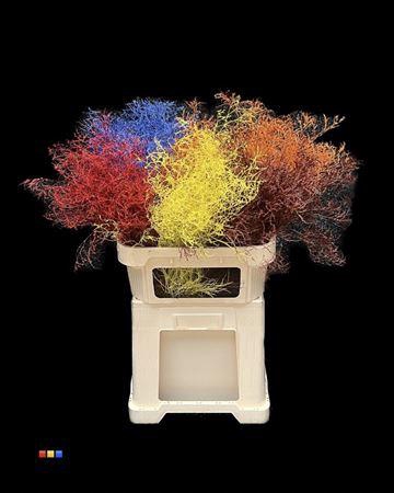 <h4>Limonium Mix</h4>