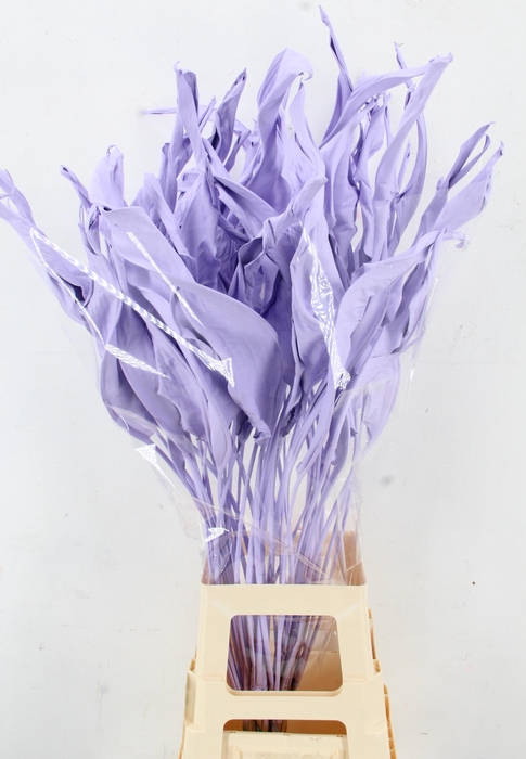 <h4>DROOGBL BEWERKT H%</h4>