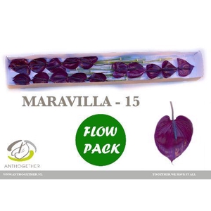 ANTH A MARAVILLA 15 Flow Pack