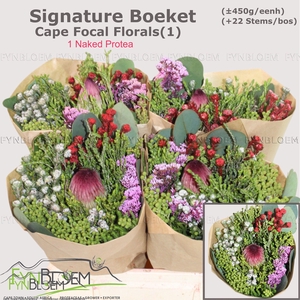 PROTEA PER BOS