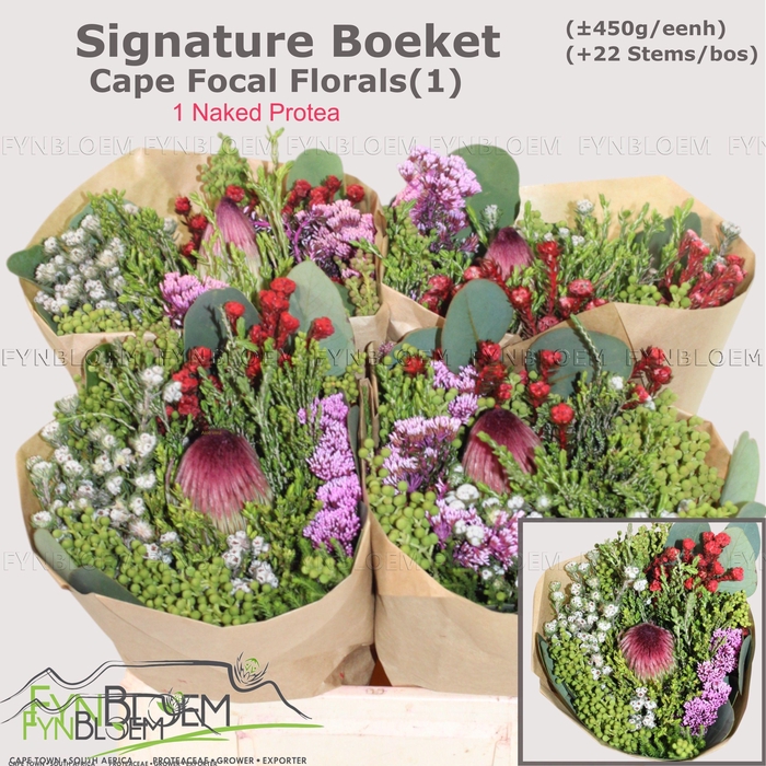 <h4>PROTEA PER BOS</h4>