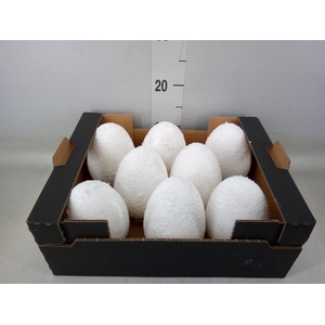 Decoratieve materialen   ...H%