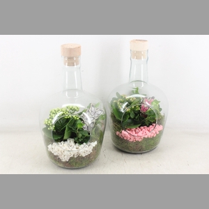 arr2 PL - Glas fles met dop 285/5 - roze/wit