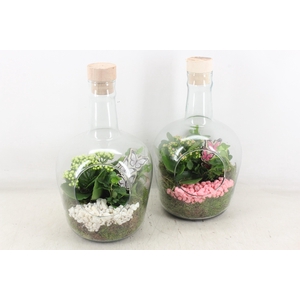 arr2 PL - Glas fles met dop 285/5 - roze/wit