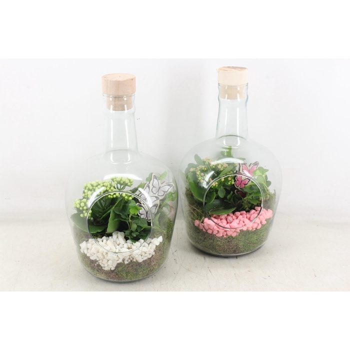 <h4>Arr2 Pl - Glas Fles Met Dop 285/5 - Roze/wit</h4>