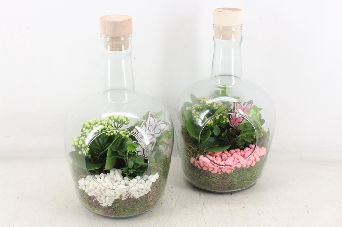 <h4>arr2 PL - Glas fles met dop 285/5 - roze/wit</h4>