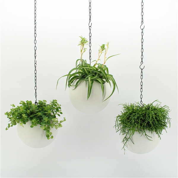 <h4>Globee Indoor Smit Mix 116</h4>