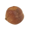 Planter Coconut Retro D18