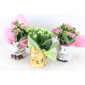 arr2 JS - Ker. zoo animals - roze/wit