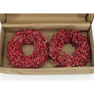 Wr Schinus Pink 20cm X2