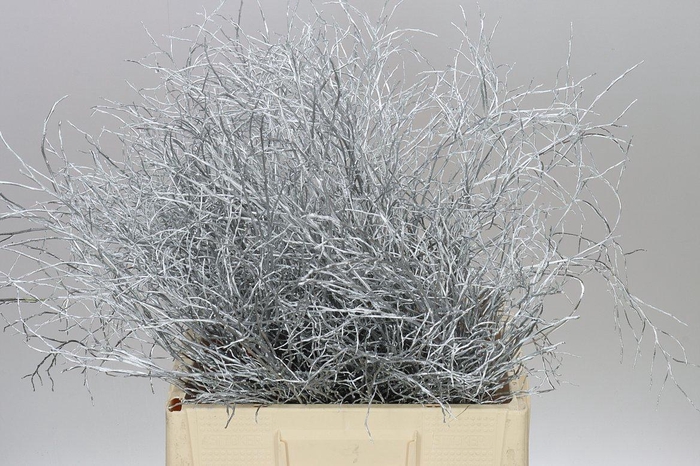 <h4>Vac Huck Silver</h4>