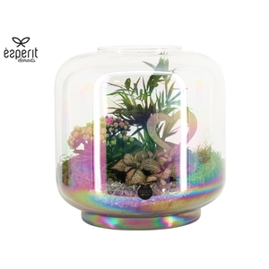 22027: Lovess arrangement